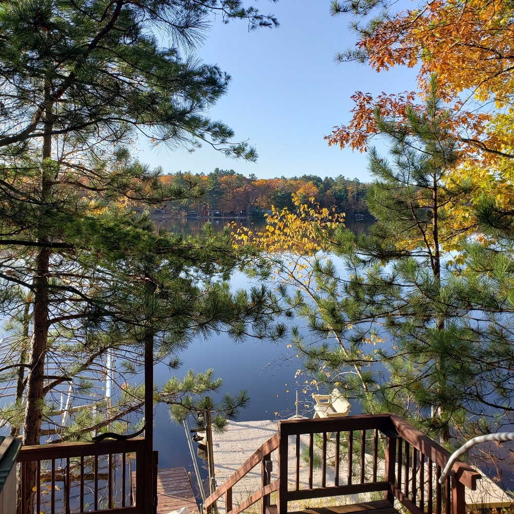 Meet your Posher, Debby